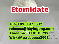 Chinese Professional Supplier  CAS 33125-97-2 Etomidate 
